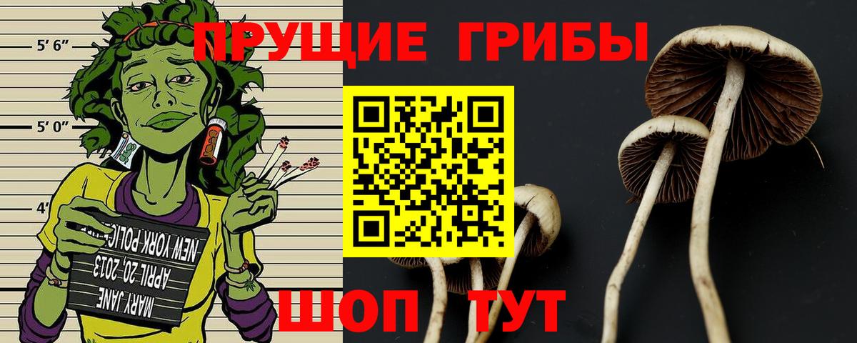 Псилоцибиновые грибы Magic Shrooms  Вход с VPN  Туймазы  Псилоцибиновые грибы Psilocybine cubensis 
