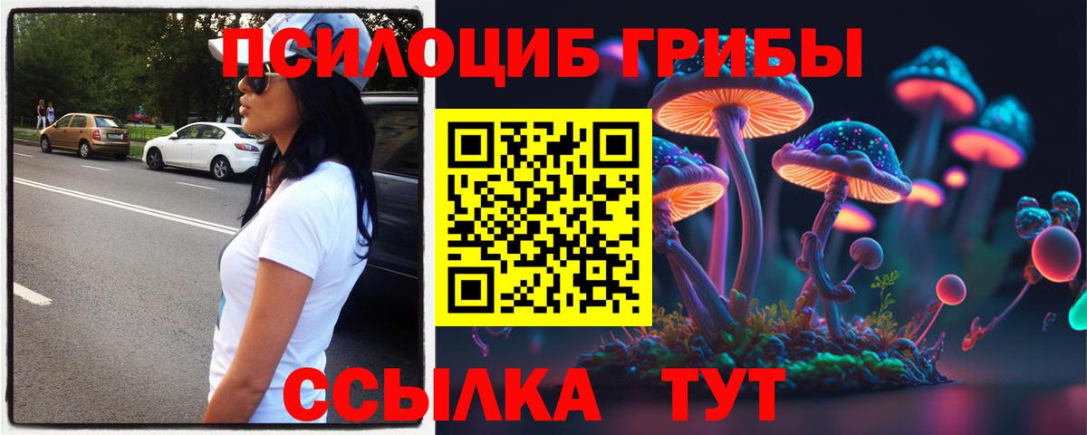 Псилоцибиновые грибы прущие грибы Туймазы